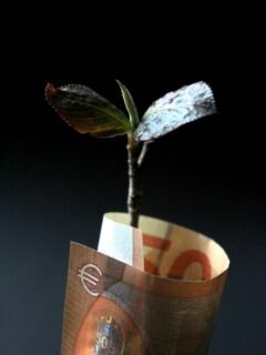 brown and white paper bag