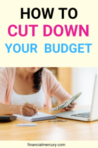 How to cut down your budget